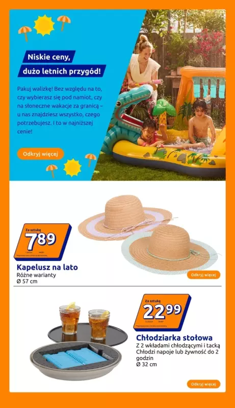 Action - gazetka promocyjna Gazetka od środy 23.07 do wtorku 29.07 - strona 17