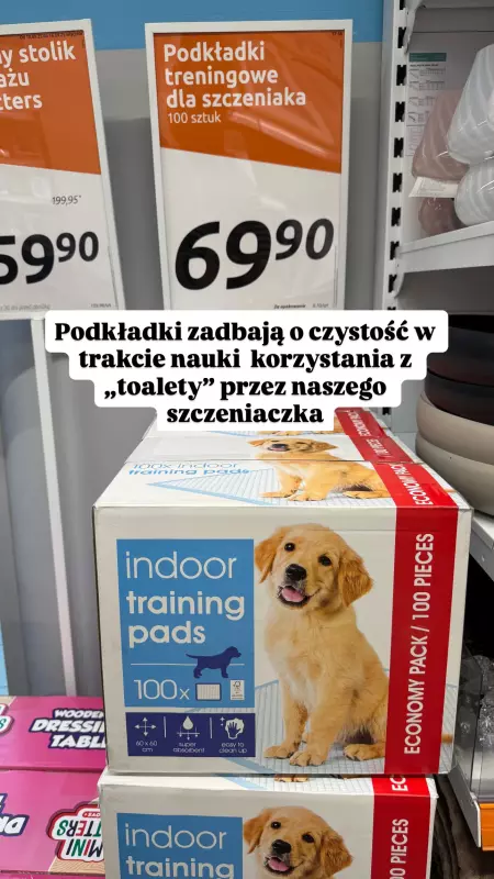 Action - gazetka promocyjna Zakupowe Inspiracje w Action od poniedziałku 15.09  - strona 7