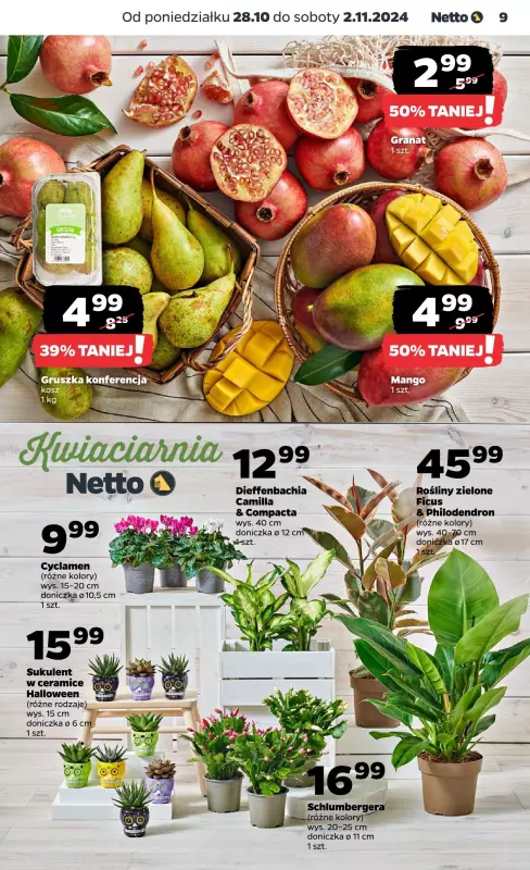 Netto - gazetka promocyjna Gazetka Spożywcza od poniedziałku 28.10 do soboty 02.11 - strona 9