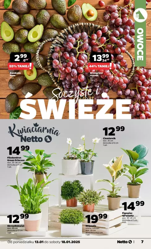 Netto - gazetka promocyjna Gazetka Spożywcza od poniedziałku 13.01 do soboty 18.01 - strona 7