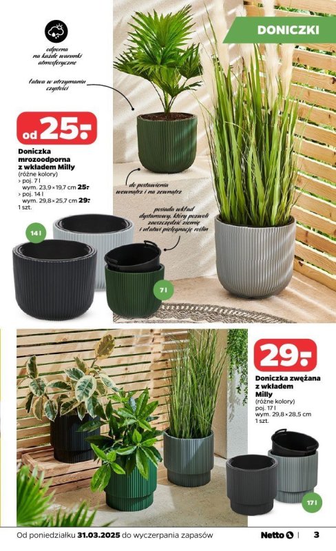 Netto - gazetka promocyjna Katalog Ogród od poniedziałku 31.03 do soboty 31.05 - strona 3