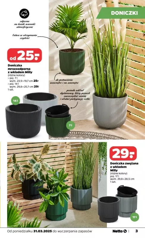 Netto - gazetka promocyjna Katalog Ogród od poniedziałku 31.03 do soboty 31.05 - strona 3