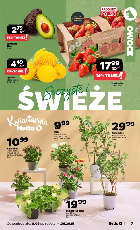Netto - gazetka promocyjna Gazetka Spożywcza od poniedziałku 09.06 do soboty 14.06 - strona 7