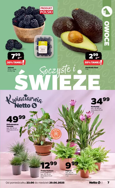 Netto - gazetka promocyjna Gazetka Spożywcza od poniedziałku 23.06 do niedzieli 29.06 - strona 7