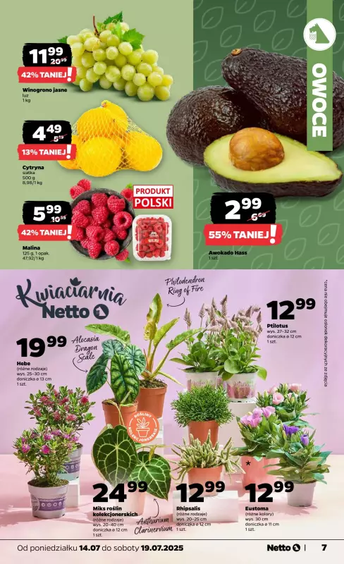 Netto - gazetka promocyjna Gazetka Spożywcza od poniedziałku 14.07 do soboty 19.07 - strona 7