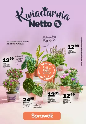 Netto - gazetka promocyjna Kwiaciarnia Netto od czwartku 17.07 do soboty 19.07