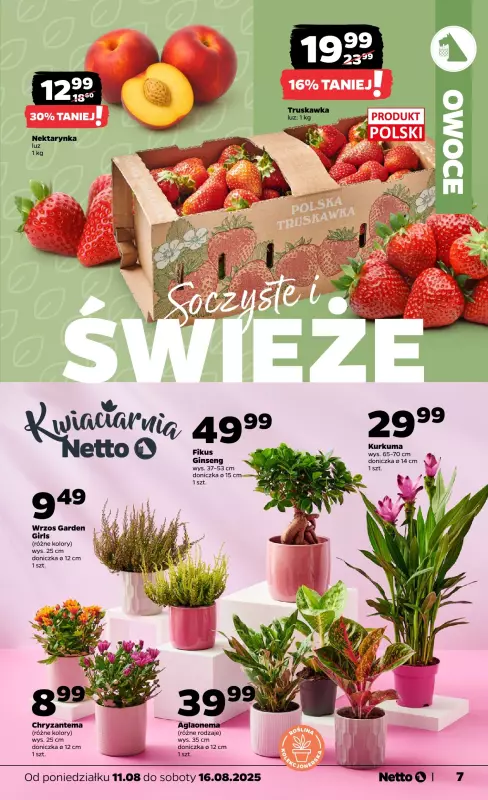 Netto - gazetka promocyjna Gazetka Spożywcza od poniedziałku 11.08 do soboty 16.08 - strona 7
