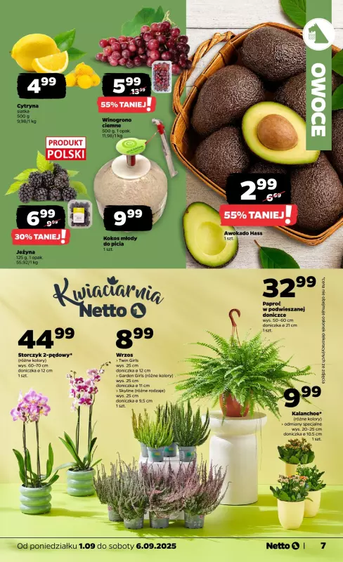 Netto - gazetka promocyjna Gazetka Spożywcza od poniedziałku 01.09 do soboty 06.09 - strona 7