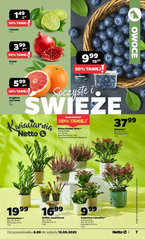 Netto - gazetka promocyjna Gazetka Spożywcza od poniedziałku 08.09 do soboty 13.09 - strona 7