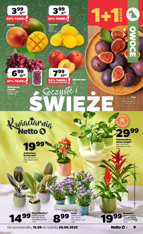 Netto - gazetka promocyjna Gazetka Spożywcza od poniedziałku 15.09 do soboty 20.09 - strona 9