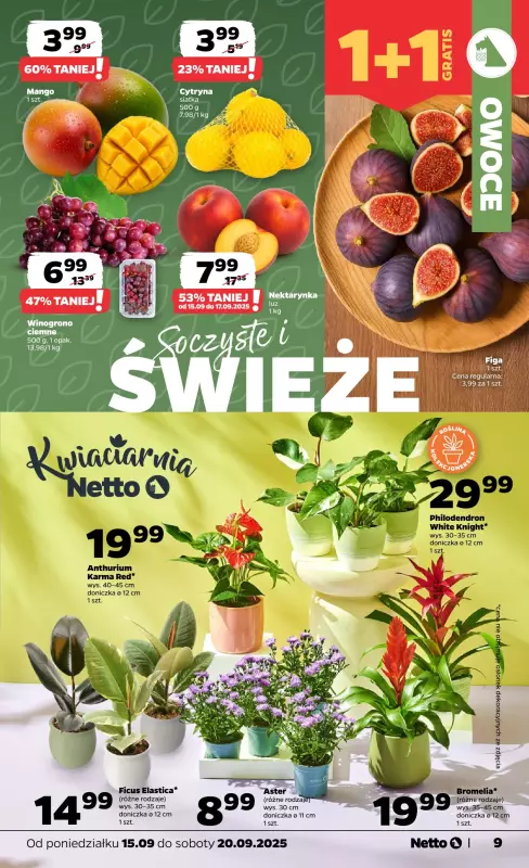 Netto - gazetka promocyjna Gazetka Spożywcza od poniedziałku 15.09 do soboty 20.09 - strona 9
