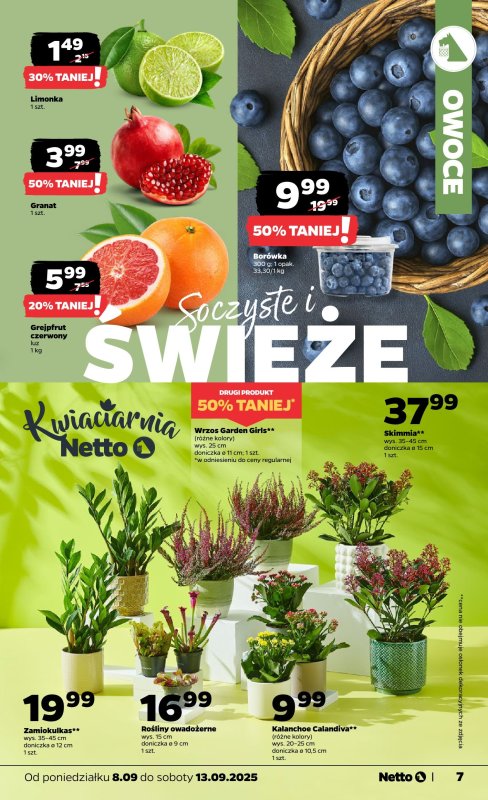 Netto - gazetka promocyjna Gazetka Spożywcza od poniedziałku 08.09 do soboty 13.09 - strona 7