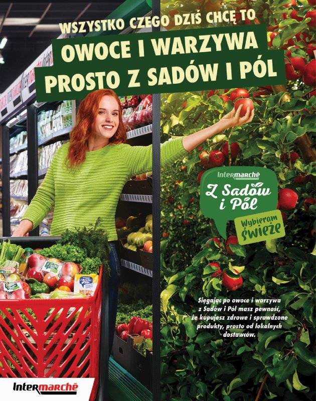 Intermarche - gazetka promocyjna Katalog  do środy 17.09 - strona 18