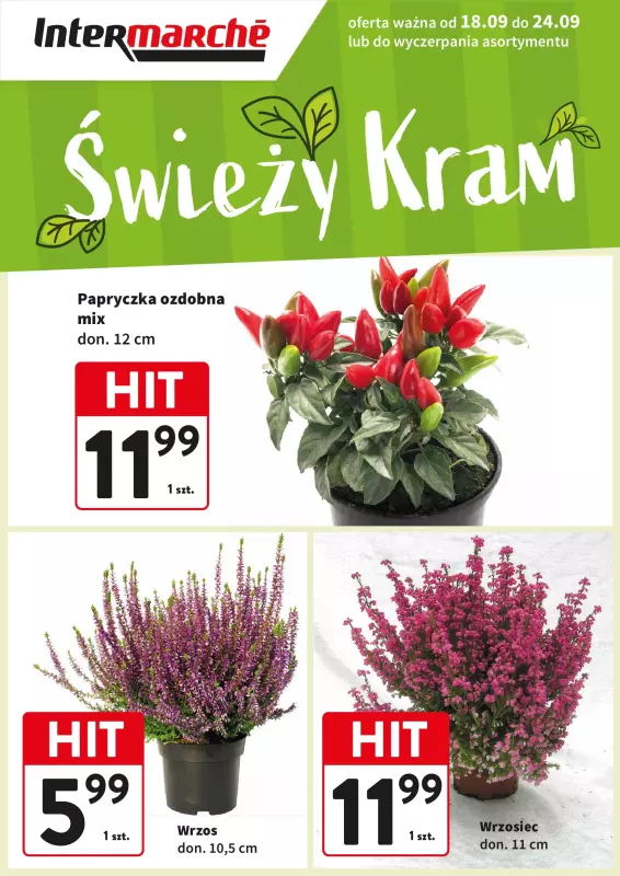 Intermarche - gazetka promocyjna Świeży kram  