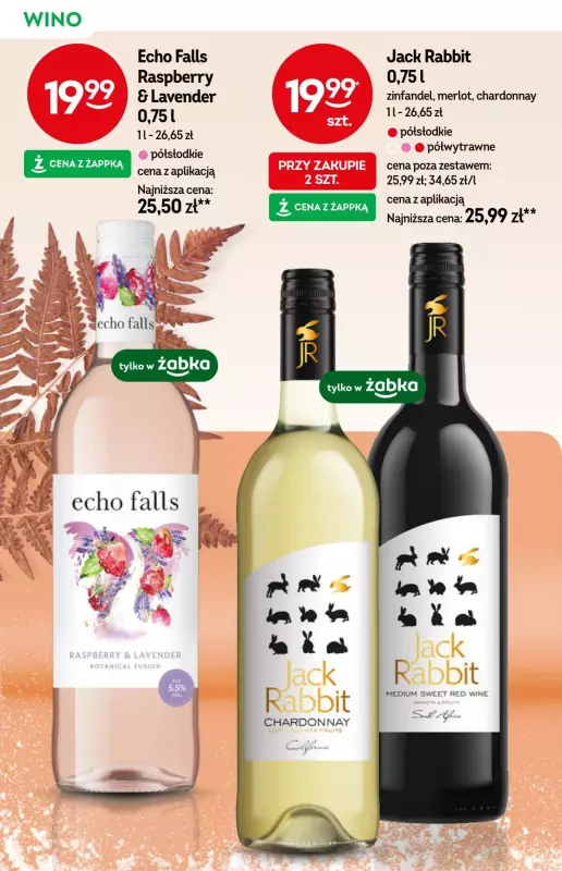 Żabka - gazetka promocyjna Katalog alkoholowy od środy 08.01 do wtorku 21.01 - strona 16