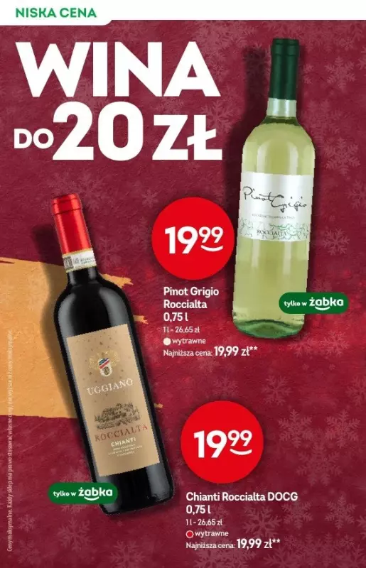 Żabka - gazetka promocyjna Katalog alkoholowy od środy 19.02 do wtorku 04.03 - strona 10