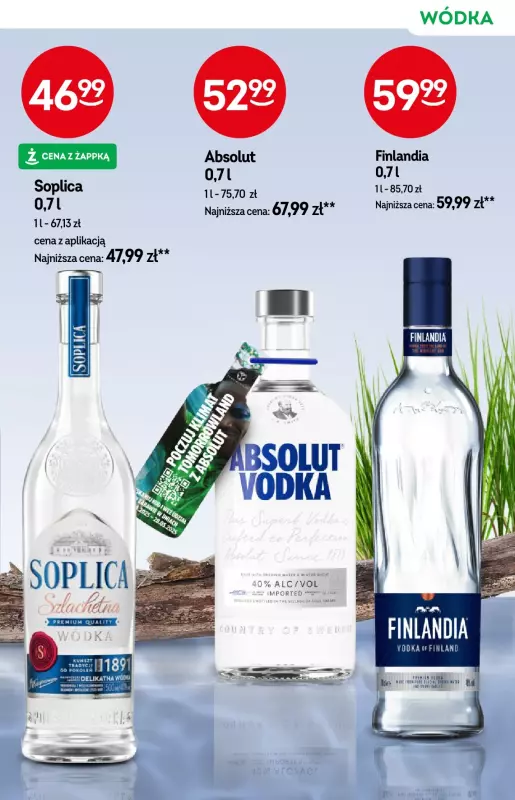 Żabka - gazetka promocyjna Katalog alkoholi od środy 14.05 do wtorku 27.05 - strona 13