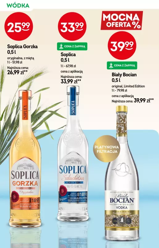 Żabka - gazetka promocyjna Katalog alkoholowy od środy 28.05 do wtorku 10.06 - strona 10