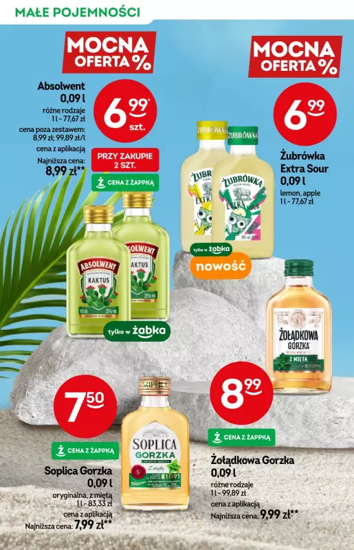 Żabka - gazetka promocyjna Katalog alkoholowy od środy 28.05 do wtorku 10.06 - strona 4