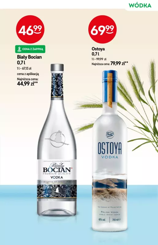 Żabka - gazetka promocyjna Katalog alkoholi od środy 11.06 do wtorku 24.06 - strona 13