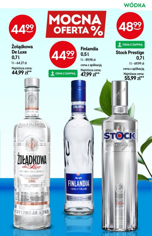 Żabka - gazetka promocyjna Katalog alkoholi  do wtorku 08.07 - strona 13
