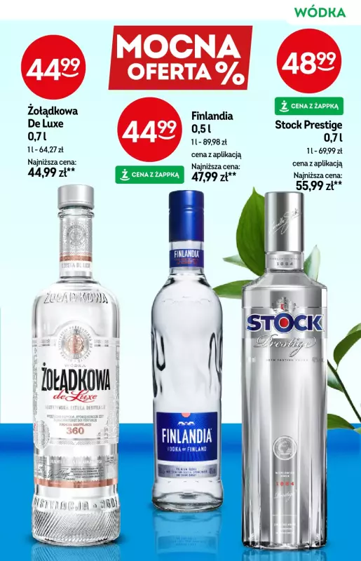 Żabka - gazetka promocyjna Katalog alkoholi od środy 25.06 do wtorku 08.07 - strona 13