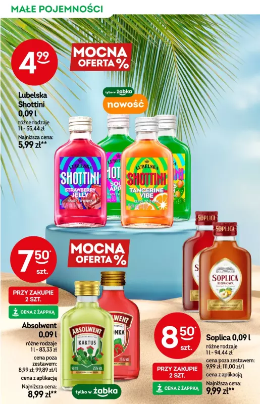 Żabka - gazetka promocyjna Katalog alkoholi  do wtorku 08.07 - strona 6