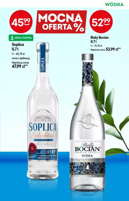 Żabka - gazetka promocyjna Katalog alkoholowy  do wtorku 22.07 - strona 17