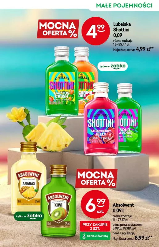 Żabka - gazetka promocyjna Katalog alkoholowy  do wtorku 19.08 - strona 11