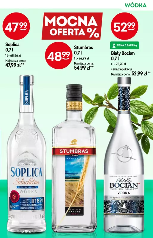 Żabka - gazetka promocyjna Katalog alkoholowy  do wtorku 19.08 - strona 25