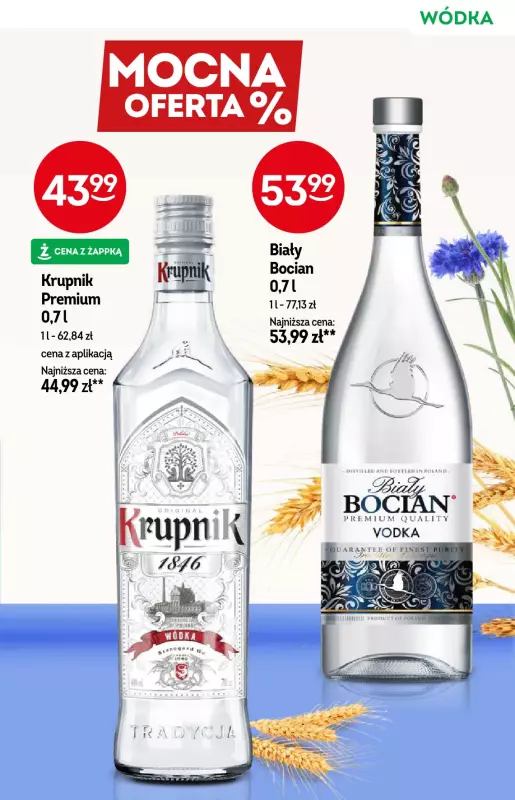 Żabka - gazetka promocyjna Katalog alkoholowy od środy 20.08 do wtorku 02.09 - strona 19
