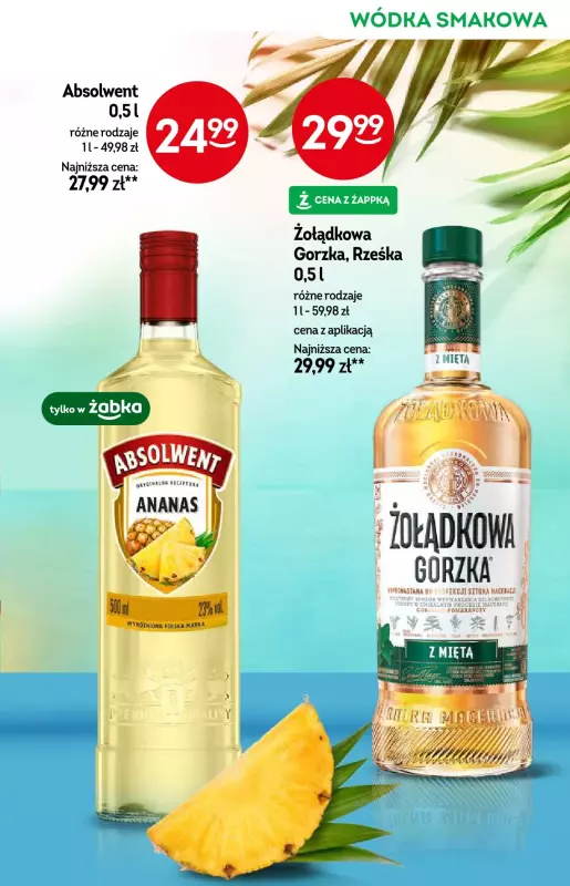 Żabka - gazetka promocyjna Katalog alkoholowy od środy 20.08 do wtorku 02.09 - strona 11