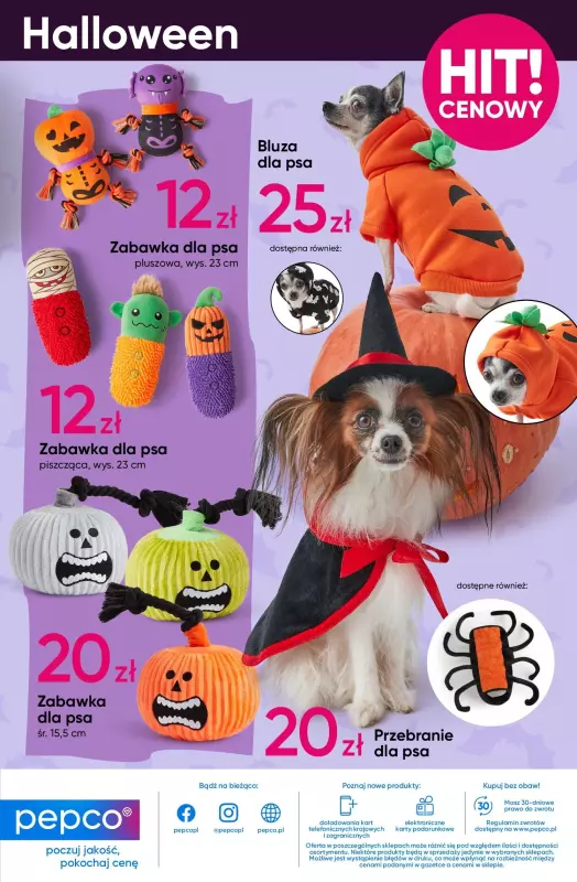 Pepco - gazetka promocyjna Gazetka Halloween od czwartku 10.10 do środy 23.10 - strona 15