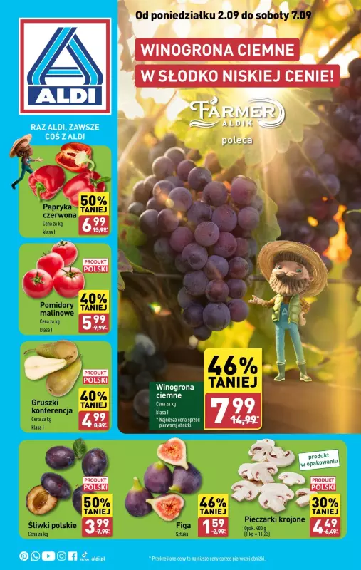 Aldi - gazetka promocyjna Farmer Aldik poleca! od poniedziałku 02.09 do soboty 07.09