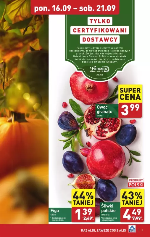 Aldi - gazetka promocyjna Pełny katalog! od poniedziałku 16.09 do soboty 21.09 - strona 5