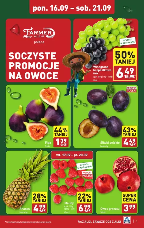 Aldi - gazetka promocyjna Pełny katalog! od poniedziałku 16.09 do soboty 21.09 - strona 3