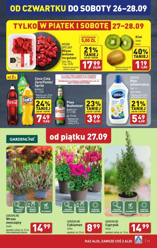 Aldi - gazetka promocyjna Pełny katalog od poniedziałku 23.09 do soboty 28.09 - strona 23