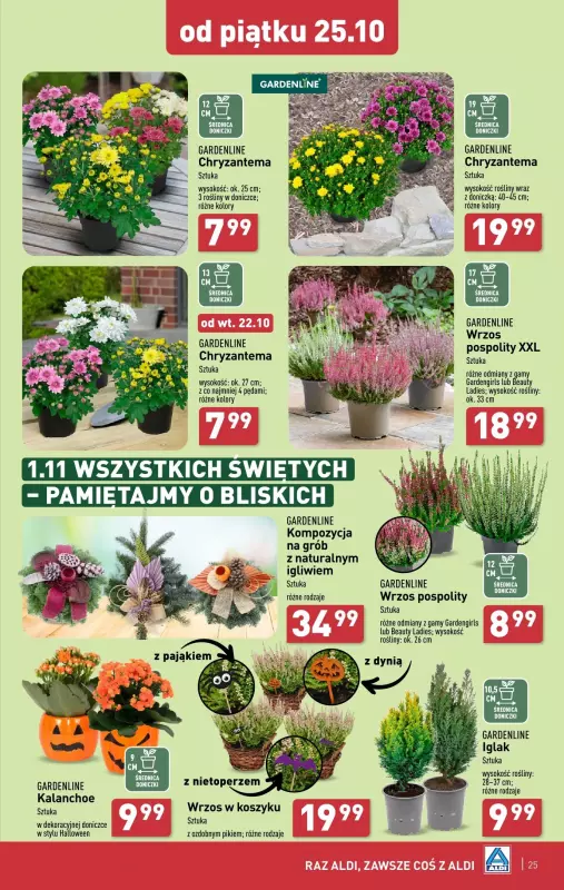 Aldi - gazetka promocyjna Pełny katalog od poniedziałku 21.10 do soboty 26.10 - strona 25