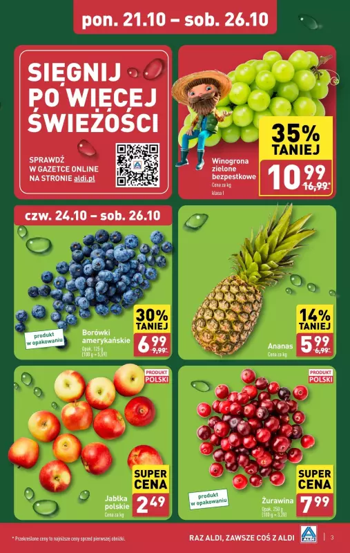 Aldi - gazetka promocyjna Pełny katalog od poniedziałku 21.10 do soboty 26.10 - strona 3