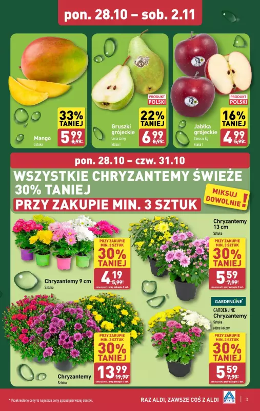 Aldi - gazetka promocyjna Pełny katalog! od poniedziałku 28.10 do soboty 02.11 - strona 3