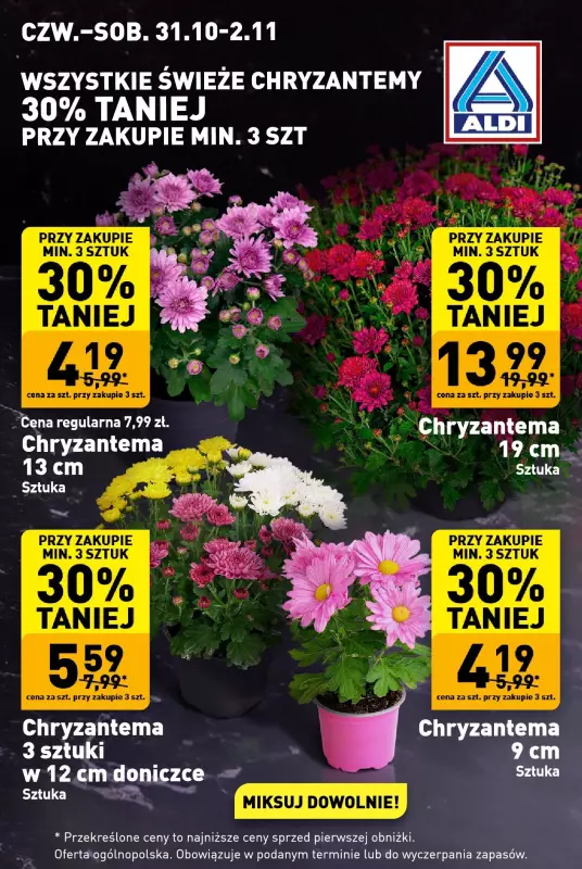 Aldi - gazetka promocyjna Chryzantemy od poniedziałku 28.10 do soboty 02.11