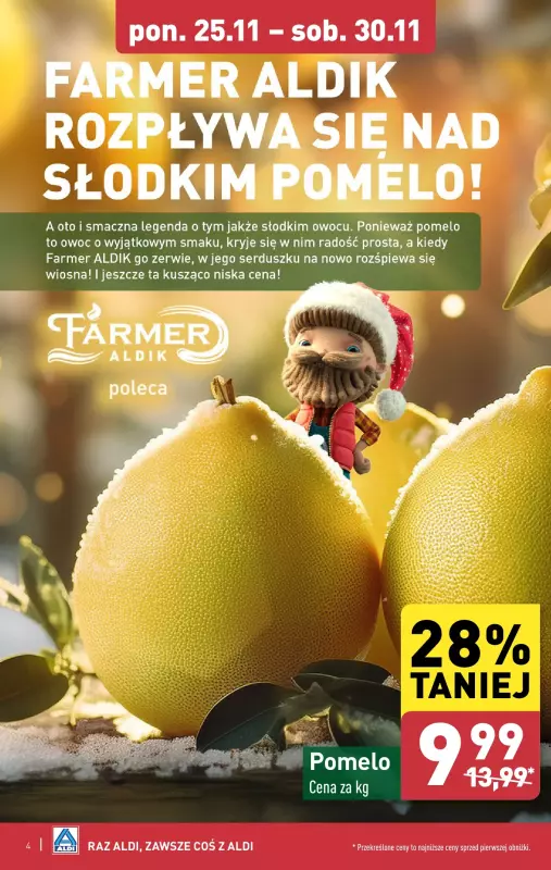 Aldi - gazetka promocyjna Pełny katalog! od poniedziałku 25.11 do soboty 30.11 - strona 4