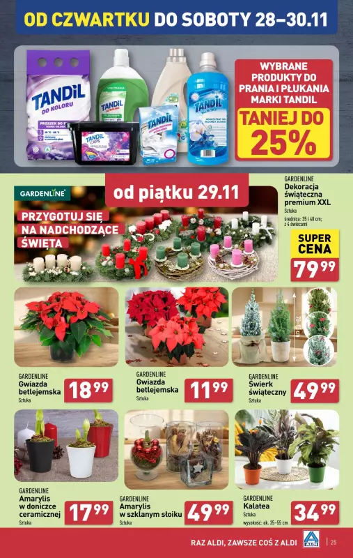 Aldi - gazetka promocyjna Pełny katalog! od poniedziałku 25.11 do soboty 30.11 - strona 25