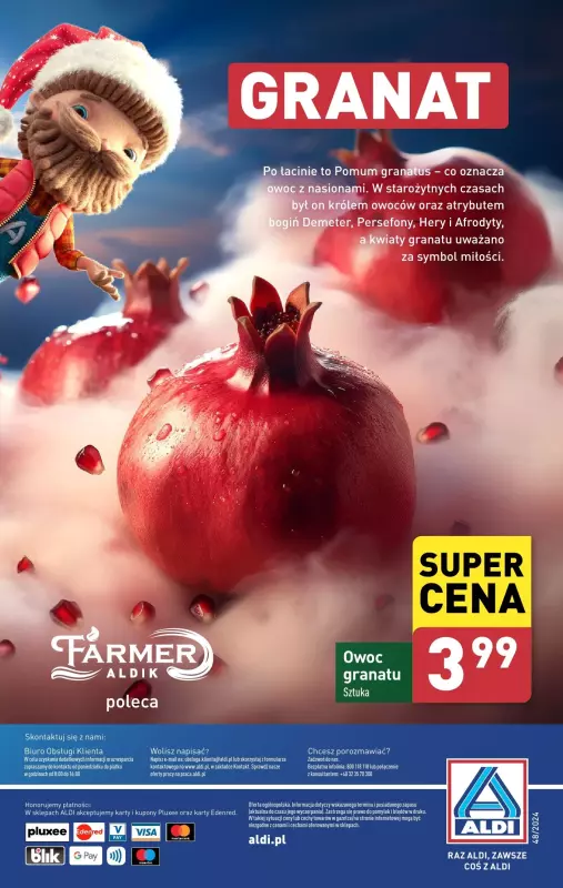 Aldi - gazetka promocyjna Farmer Aldik poleca! od poniedziałku 25.11 do soboty 30.11 - strona 10