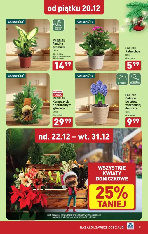 Aldi - gazetka promocyjna Pełny katalog! od poniedziałku 16.12 do wtorku 24.12 - strona 35