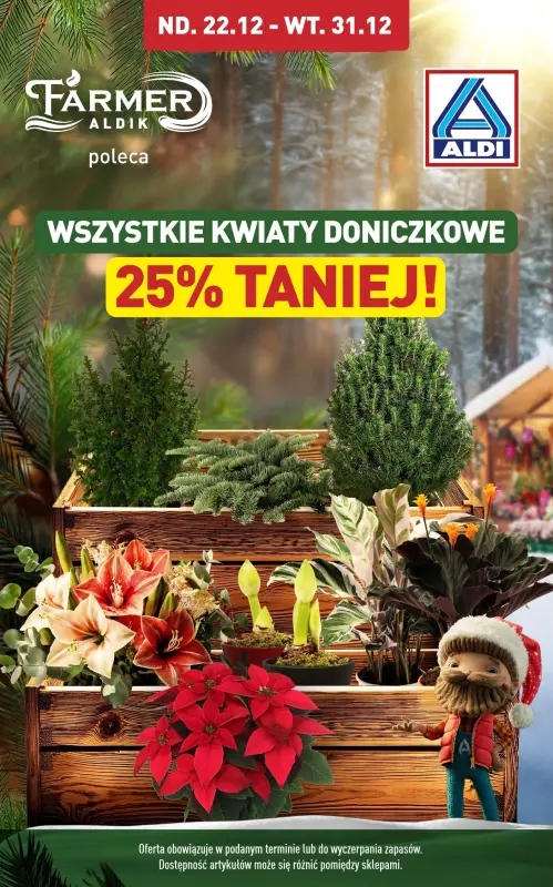 Aldi - gazetka promocyjna Kwiaty doniczkowe 25% taniej! od niedzieli 22.12 do wtorku 31.12