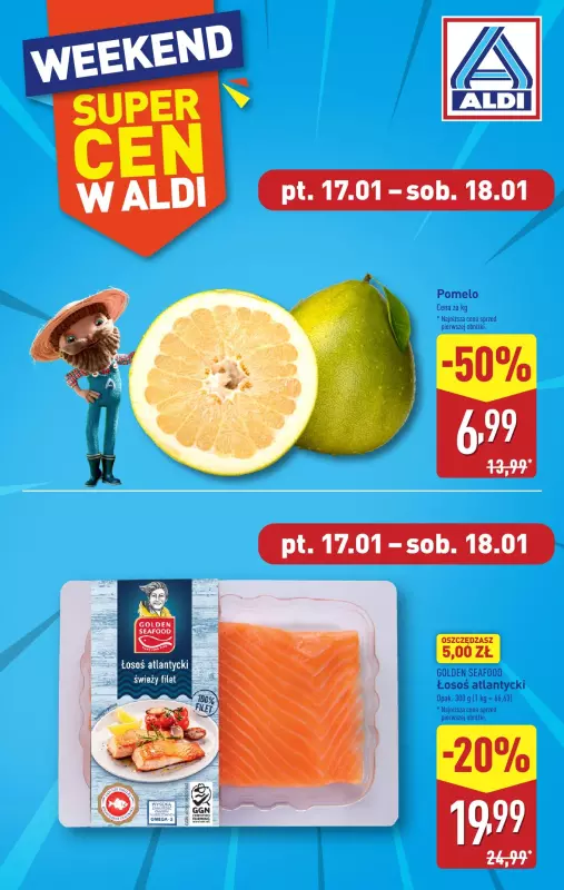 Aldi - gazetka promocyjna Pełny katalog! od poniedziałku 13.01 do soboty 18.01 - strona 29