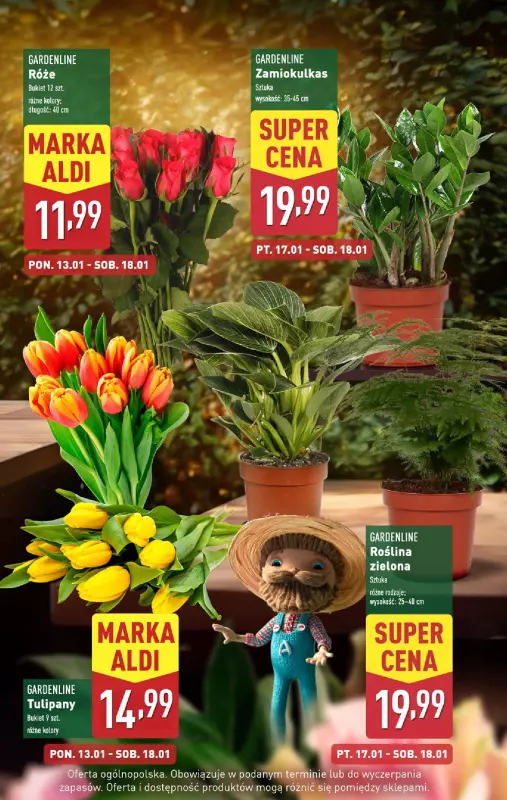 Aldi - gazetka promocyjna Pełny katalog! od poniedziałku 13.01 do soboty 18.01 - strona 5