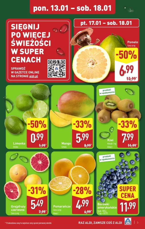 Aldi - gazetka promocyjna Pełny katalog! od poniedziałku 13.01 do soboty 18.01 - strona 3