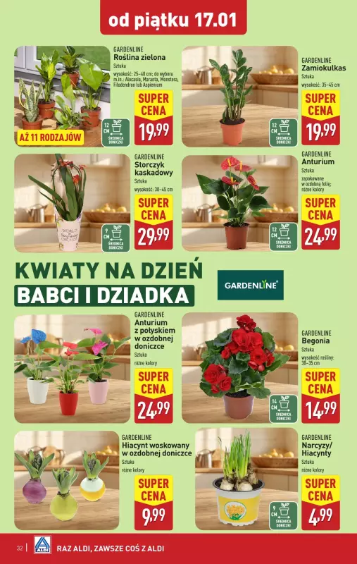 Aldi - gazetka promocyjna Pełny katalog! od poniedziałku 13.01 do soboty 18.01 - strona 32